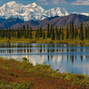 Meet your Posher, Lizzet